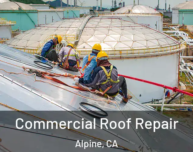  Commercial Roof Repair Alpine, CA