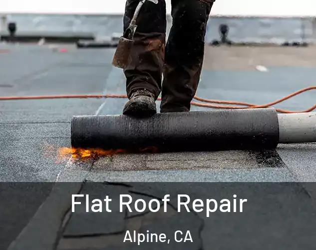  Flat Roof Repair Alpine, CA