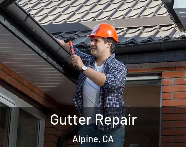  Gutter Repair Alpine, CA