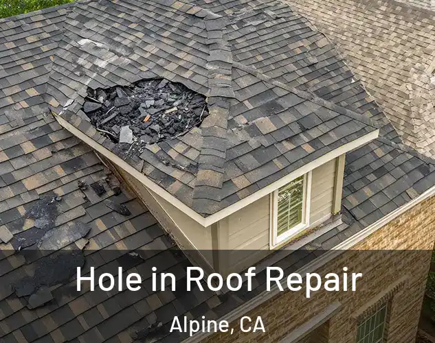  Hole in Roof Repair Alpine, CA