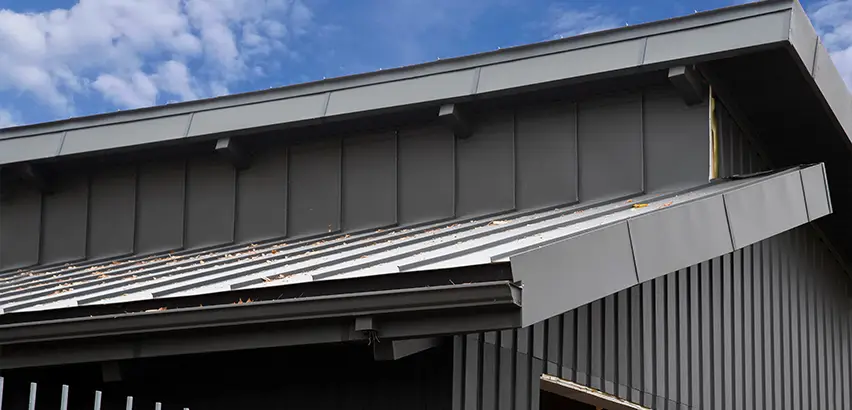 Professional Roof Eaves Installation Services in Alpine, CA