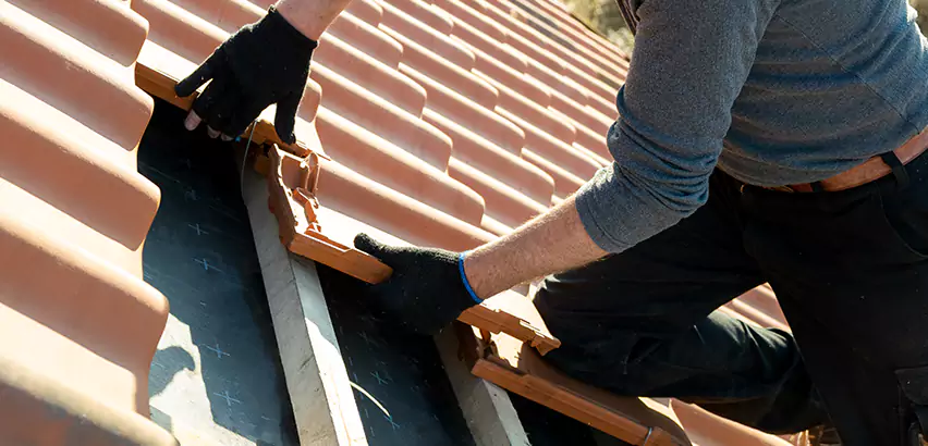 Professional Tile Roof Restoration Services in Alpine, CA