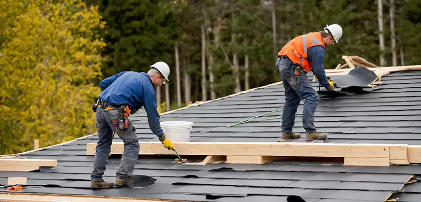 Agricultural Roof Maintenance Alpine