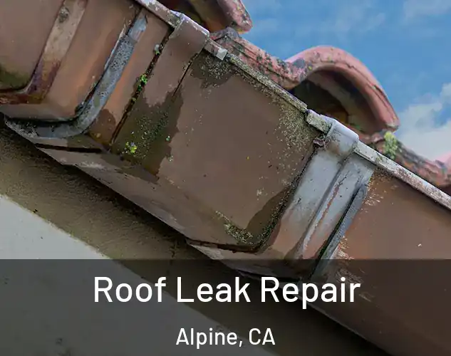  Roof Leak Repair Alpine, CA