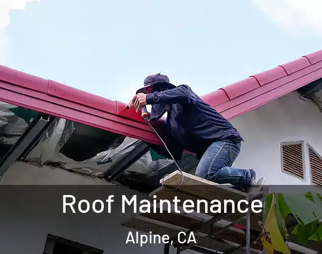  Roof Maintenance Alpine, CA