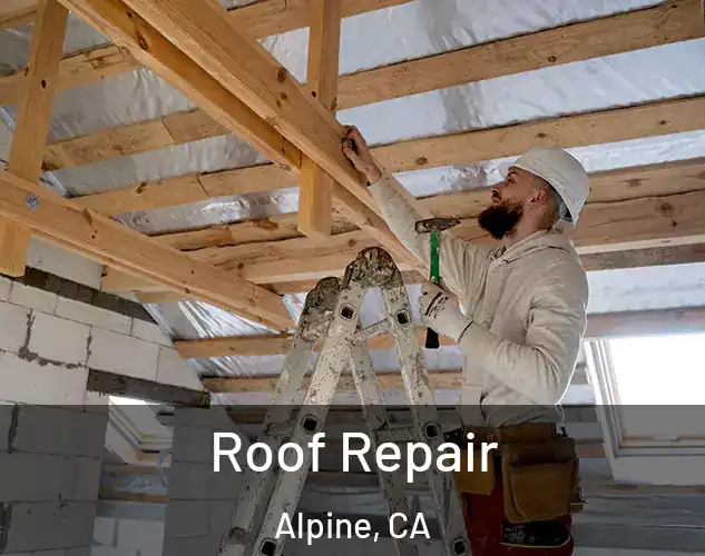  Roof Repair Alpine, CA