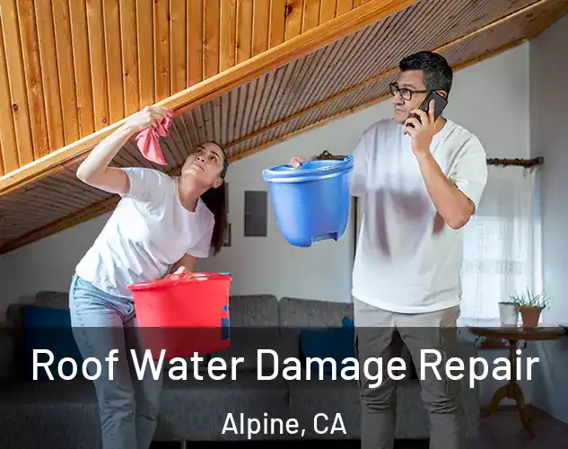  Roof Water Damage Repair Alpine, CA