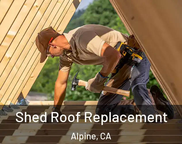  Shed Roof Replacement Alpine, CA