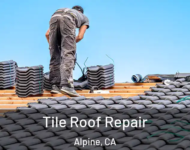  Tile Roof Repair Alpine, CA