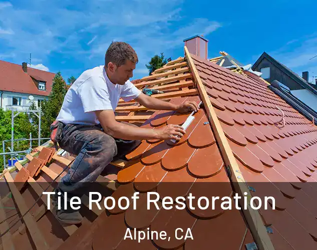  Tile Roof Restoration Alpine, CA